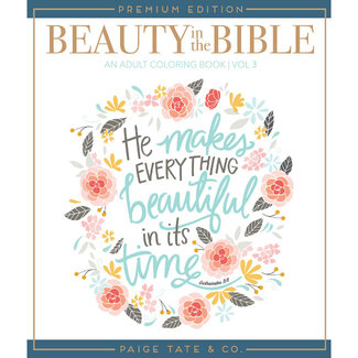 Beauty In The Bible Vol. 3 Coloring Book