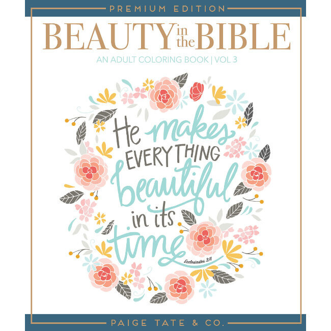 Beauty In The Bible Vol. 3 Coloring Book