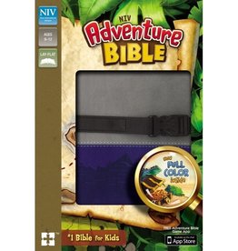 NIV Adventure Bible - Gray/Blue