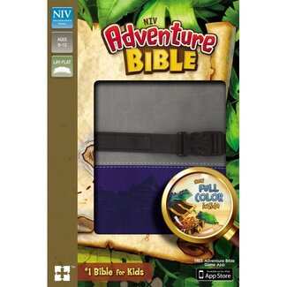 NIV Adventure Bible - Gray/Blue