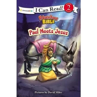 Adventure Bible Paul Meets Jesus