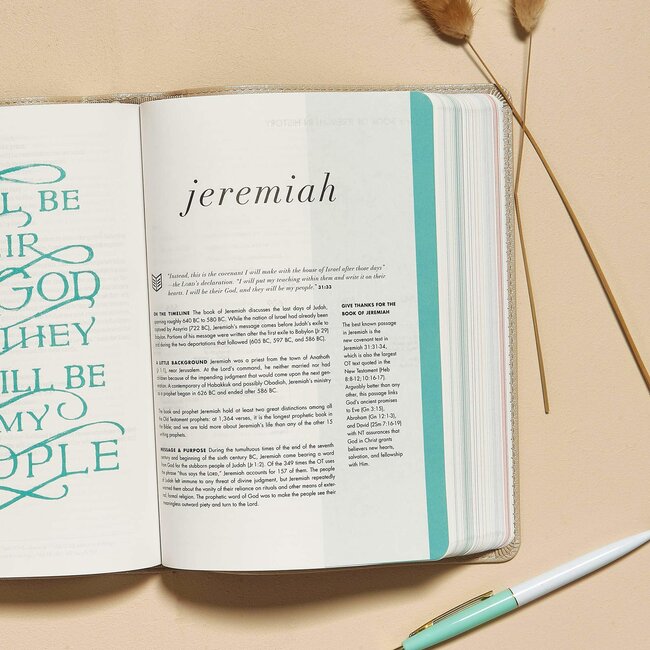 CSB She Reads Truth Bible, Champagne Gold LeatherTouch