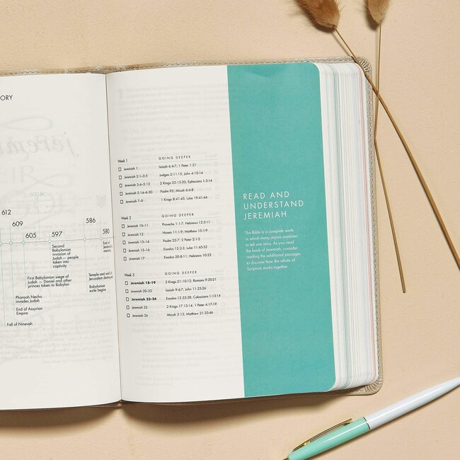 CSB She Reads Truth Bible, Champagne Gold LeatherTouch