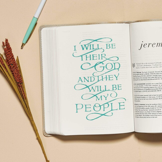 CSB She Reads Truth Bible, Champagne Gold LeatherTouch