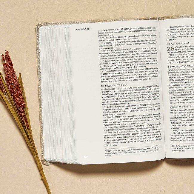 CSB She Reads Truth Bible, Champagne Gold LeatherTouch