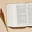 CSB She Reads Truth Bible, Champagne Gold LeatherTouch