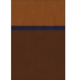 NIV Study Bible Personal Size Brown/ Blue Thumb Indexed