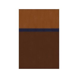 NIV Study Bible Personal Size Brown/ Blue Thumb Indexed
