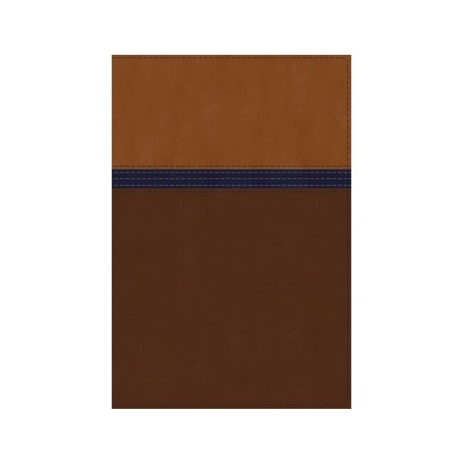 NIV Study Bible Personal Size Brown/ Blue Thumb Indexed