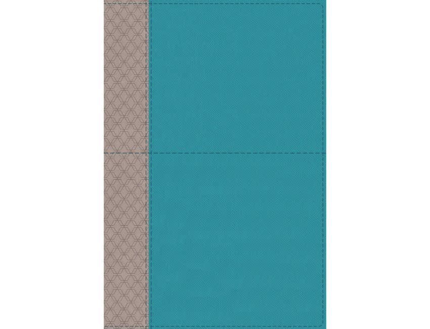 NIV Study Bible, Fully Revised Edition, Leathersoft, Teal/Gray, Red Letter, Thumb Indexed, Comfort Print