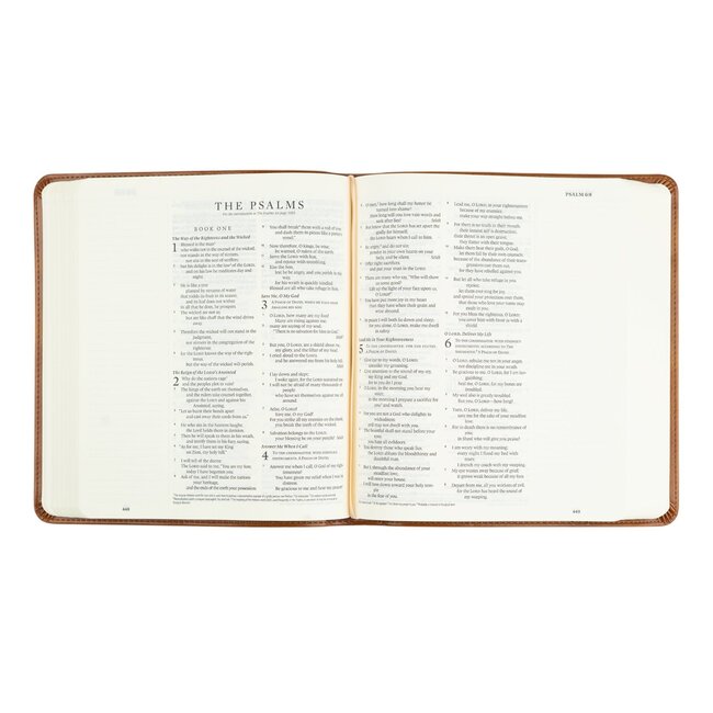 ESV Journaling Bible - Sierra Theme