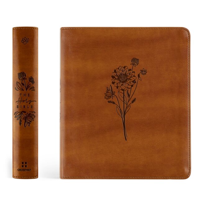 ESV Journaling Bible - Sierra Theme