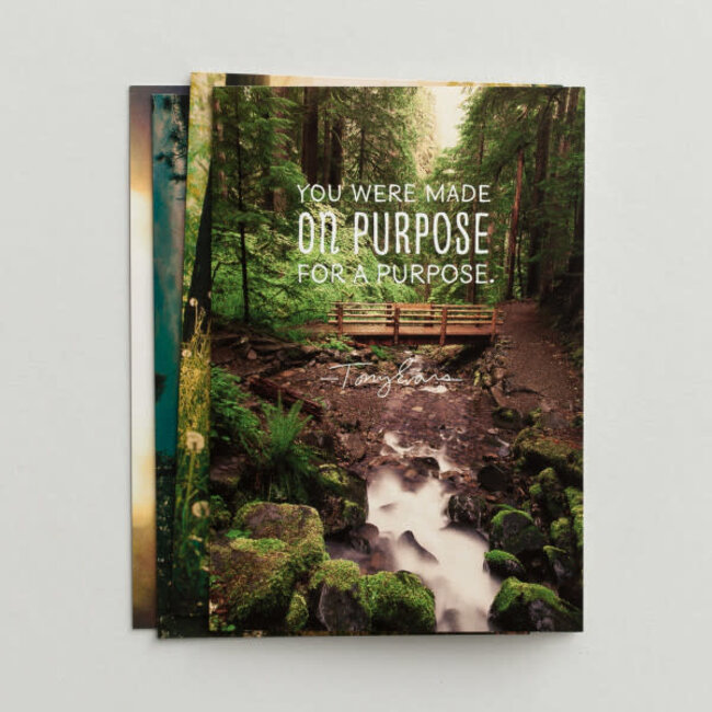 Tony Evans Birthday Boxed Cards