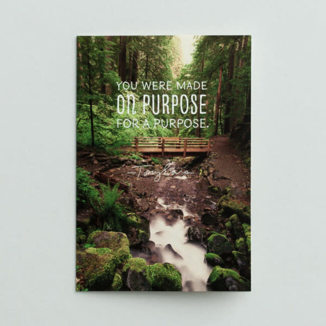 Tony Evans Birthday Boxed Cards