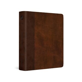 ESV Journaling Bible (Trutone, Brown/Tan, Timeless Design)