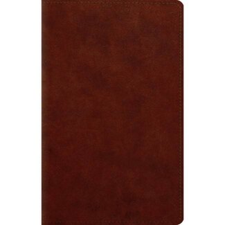 ESV Large Print Personal Size Bible - Chesnut
