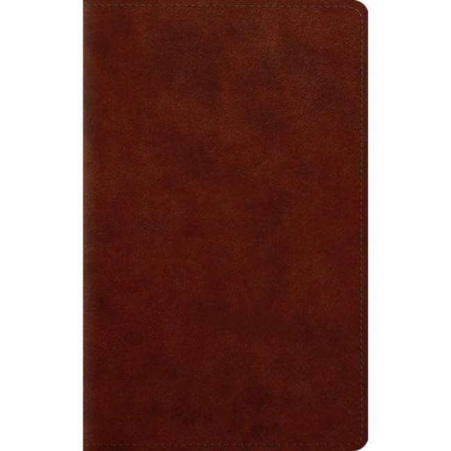 ESV Large Print Personal Size Bible - Chesnut