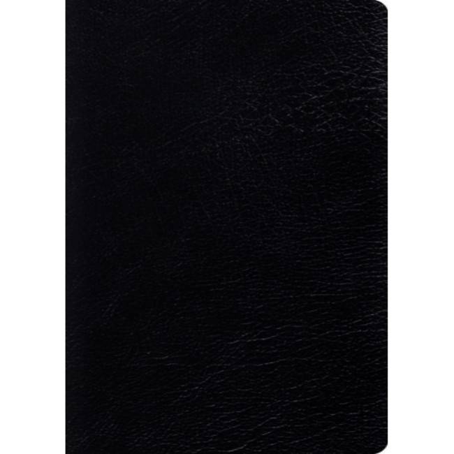 ESV Large Print Study Bible - Black