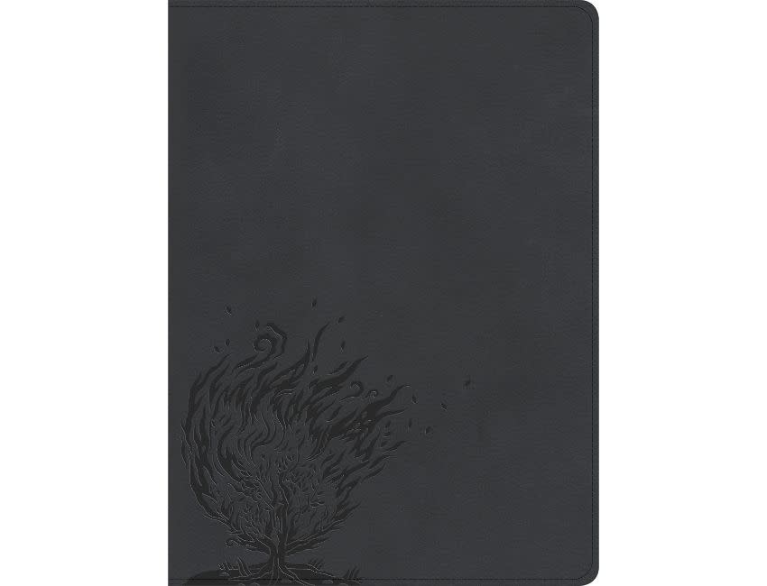 CSB Experiencing God Bible - Charcoal Leathertouch