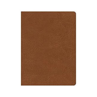 CSB He Reads Truth Bible - Saddle Leathertouch Indexed