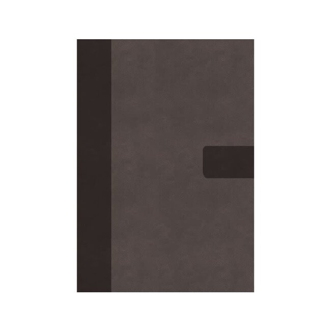 NIV, Super Giant Print Reference Bible, Leathersoft, Gray, Red Letter, Thumb Indexed, Comfort Print