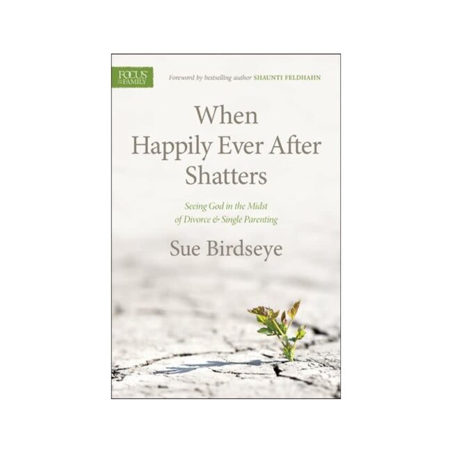 When Happily Ever After Shatters: Seeing God in the Midst of Divorce & Single Parenting