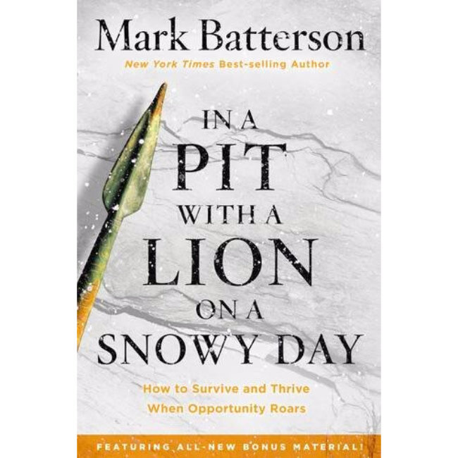 In A Pit With A Lion On A Snowy Day