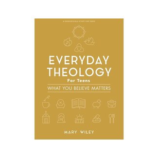 Mark Wiley Everyday Theology - Teen Bible Study Book