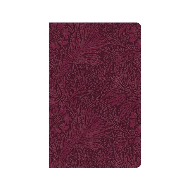 ESV Large Print Value Thinline Bible