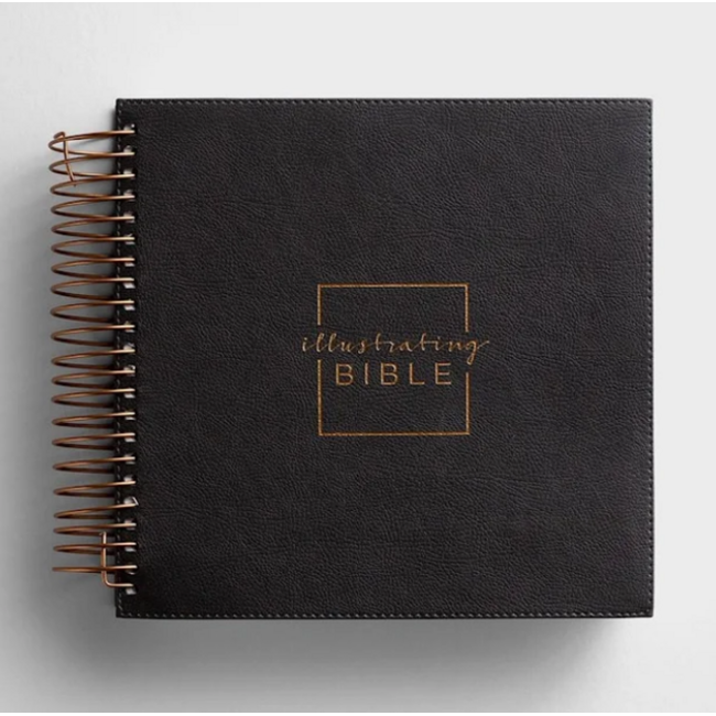 Illustrating Bible NIV Dark Grey (Spiral Bound Journaling Bible)