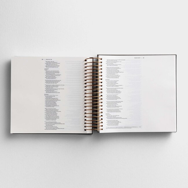 Illustrating Bible NIV Dark Grey (Spiral Bound Journaling Bible)