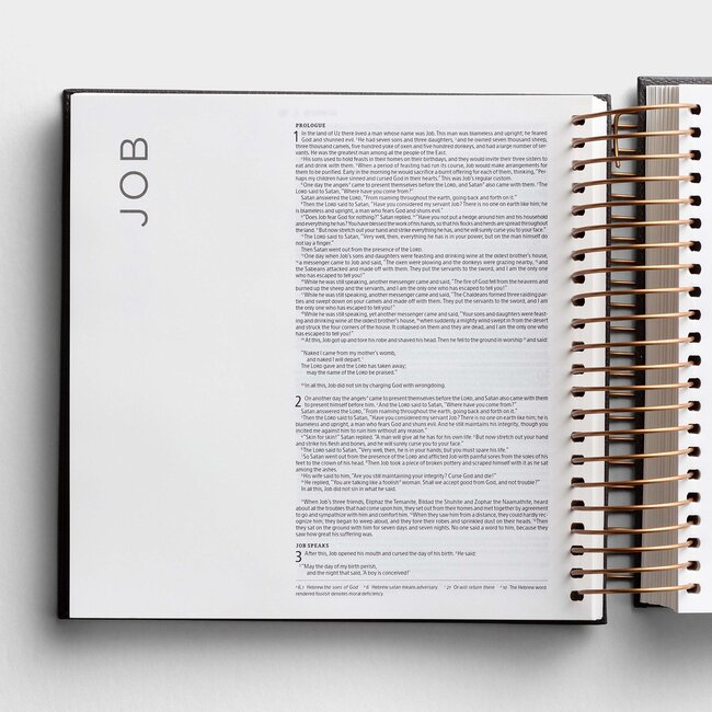 Illustrating Bible NIV Dark Grey (Spiral Bound Journaling Bible)