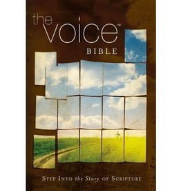 Voice Bible-VC: Step Into the Story of Scripture