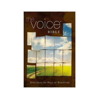 Voice Bible-VC: Step Into the Story of Scripture