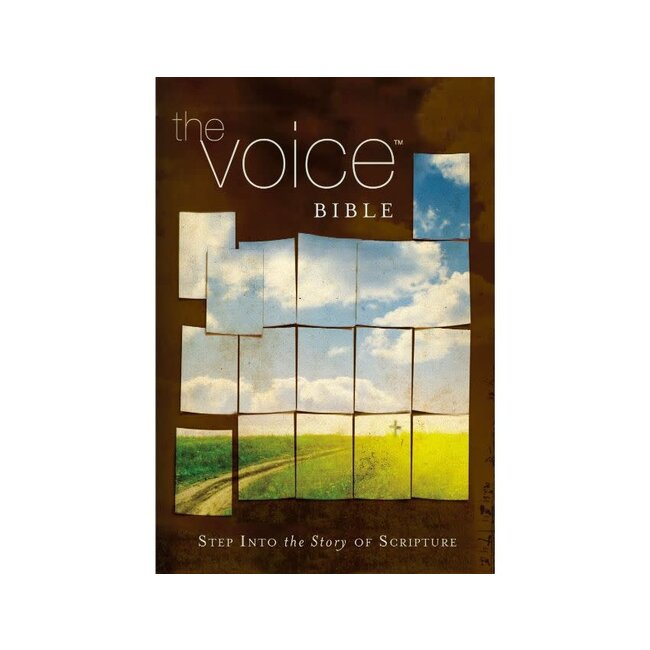 Voice Bible-VC: Step Into the Story of Scripture