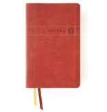 NIV, Men's Devotional Bible, Leathersoft, Brown, Comfort Print