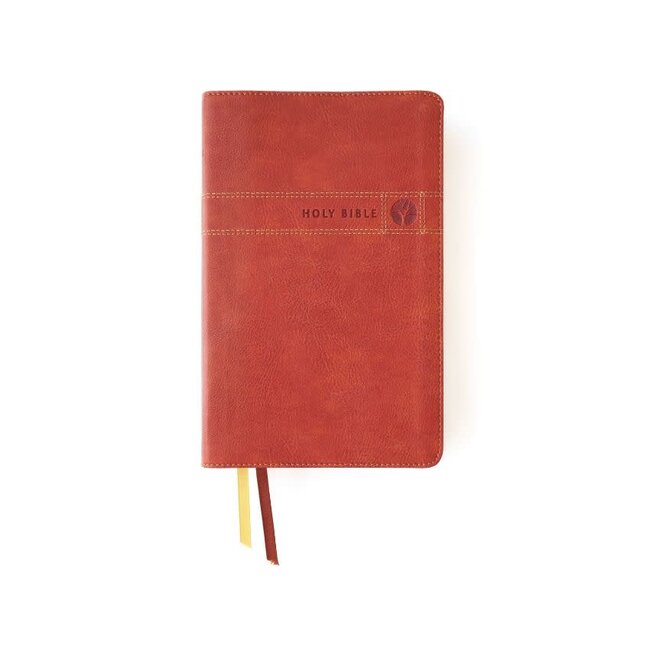 NIV, Men's Devotional Bible, Leathersoft, Brown, Comfort Print