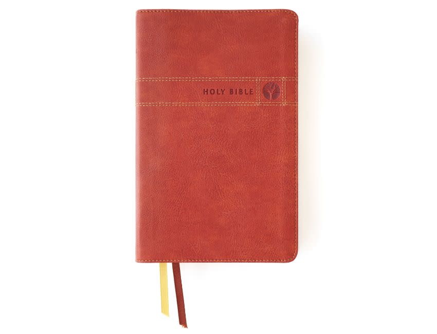 NIV, Men's Devotional Bible, Leathersoft, Brown, Comfort Print