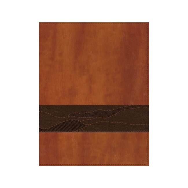Rooted: The NIV Bible for Men, Leathersoft, Brown, Comfort Print