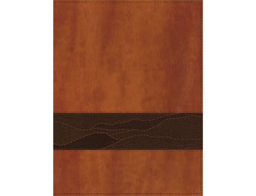 Rooted: The NIV Bible for Men, Leathersoft, Brown, Comfort Print