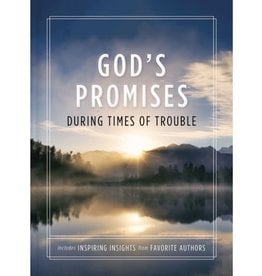 God's Promises During Times of Trouble