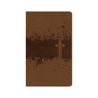 NIV, Kids' Visual Study Bible, Leathersoft,  Bronze, Full Color Interior, Peel/Stick Bible Tabs