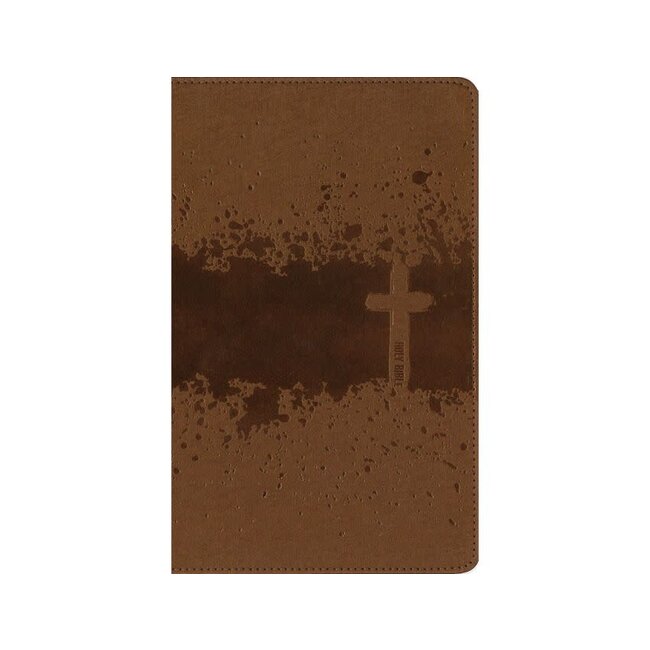 NIV, Kids' Visual Study Bible, Leathersoft,  Bronze, Full Color Interior, Peel/Stick Bible Tabs