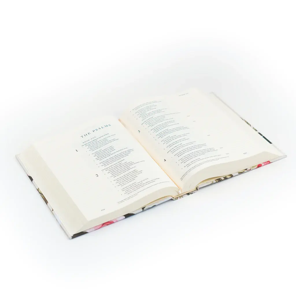 ESV Journaling Bible: Paris Theme