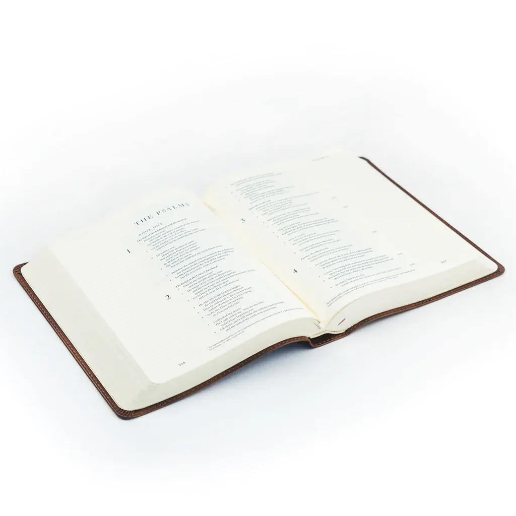 ESV Journaling Bible: Westminster Theme
