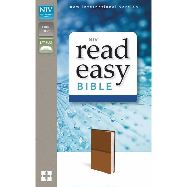 NIV Read Easy Bible - Tan