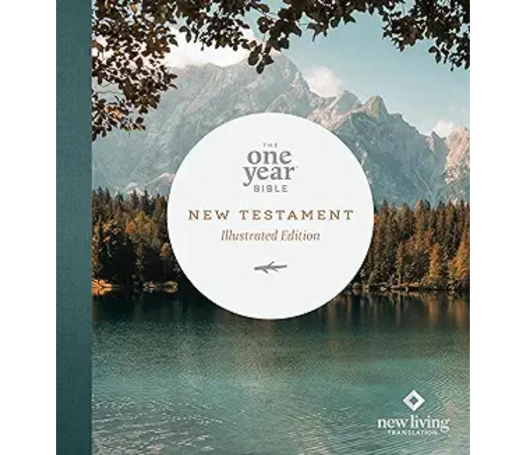 NLT The One Year Bible New Testament (Illustrated Edition) Lakeside Haven
