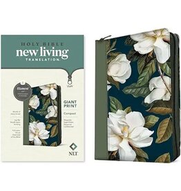 NLT Compact Giant Print Bible Magnolia Sage Green