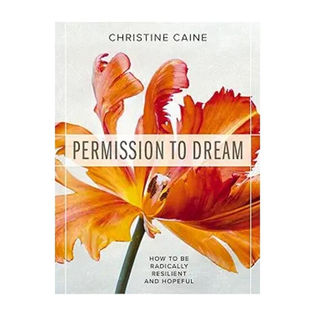 Permission to Dream