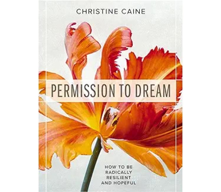 Christine Caine Permission to Dream
